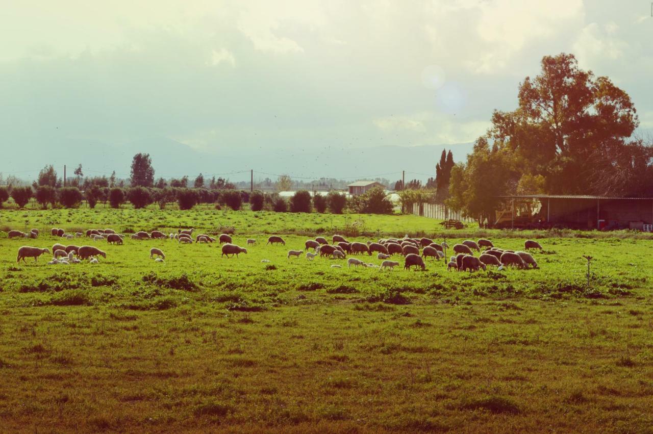 Agriresort Terradome Uta Dış mekan fotoğraf